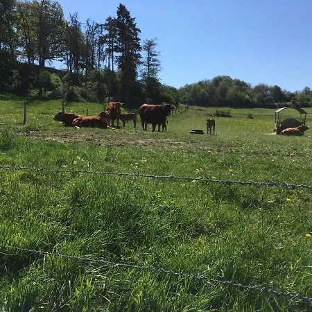 Gaestehaus Klaus 3* Mendig