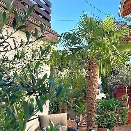 לינה וארוחת בוקר Gaestehaus Klaus 3*