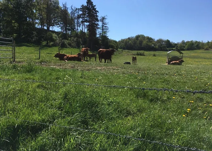 Gaestehaus Klaus 3* מנדיג