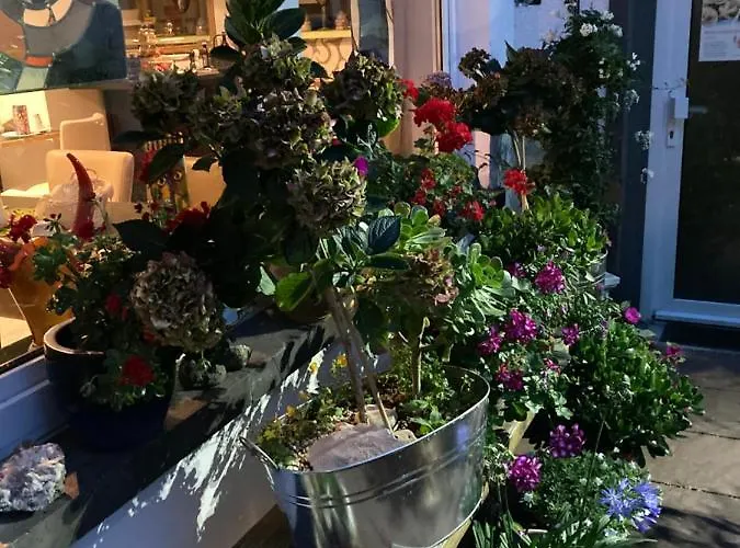 לינה וארוחת בוקר Gaestehaus Klaus מנדיג